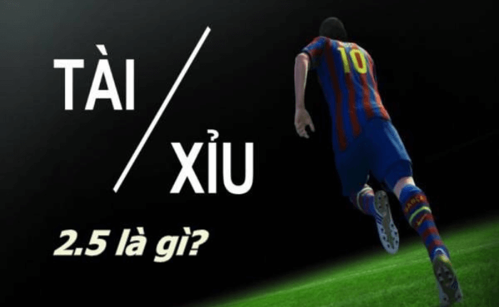 Cách đọc chi tiết tỷ lệ cược tài xỉu 2,5