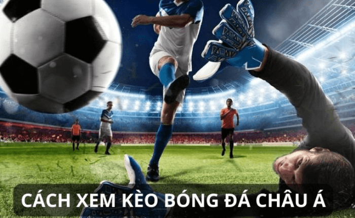 Cách đọc kèo bóng đá châu Á