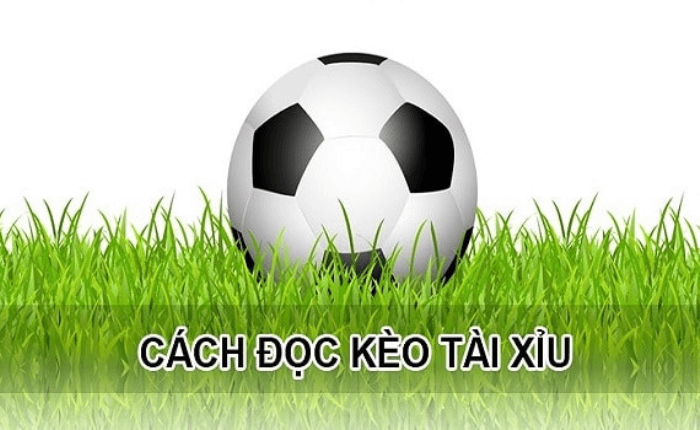 Cách đọc kèo tài xỉu