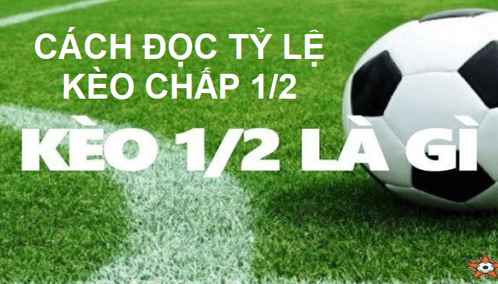 Cách đọc tỷ lệ kèo chấp ½ chính xác