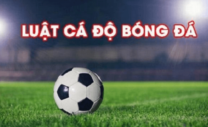 Luật cá độ bóng đá mới nhất hiện nay