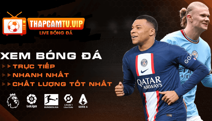 Quy định về điều khoản sử dụng tại thapcamtv