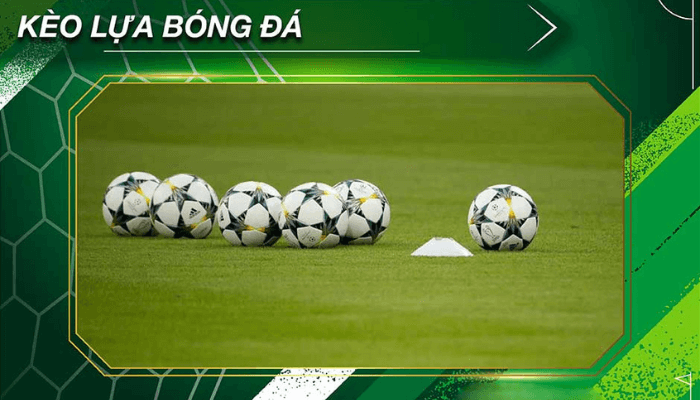 Bật mí bí kíp chơi kèo lựa đơn giản nhất