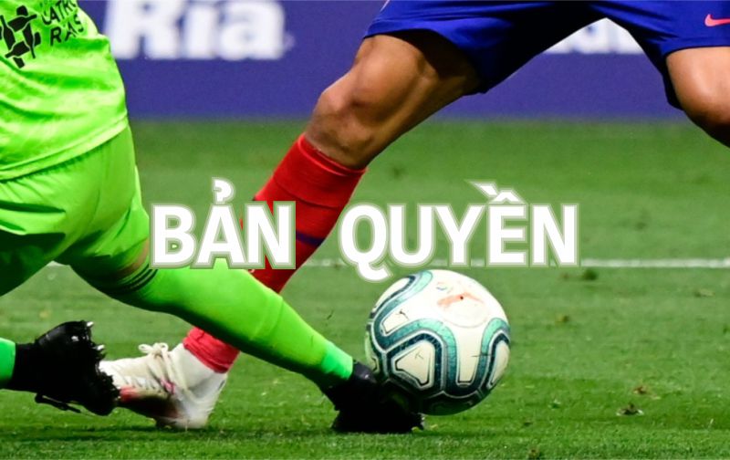 bản quyền thập cẩm tivi