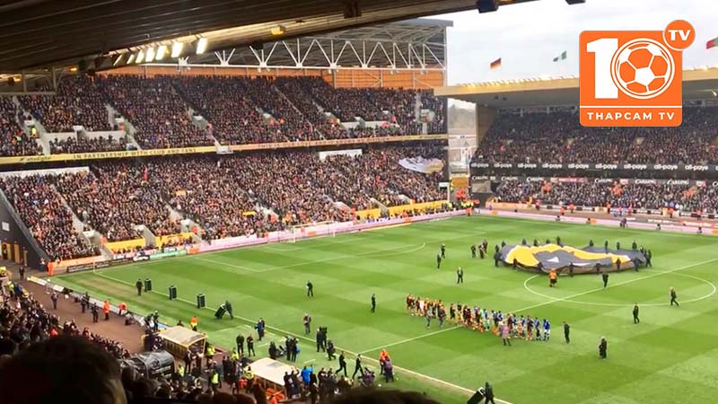 Tìm hiểu tổng quan về lịch sử của sân vận động Molineux
