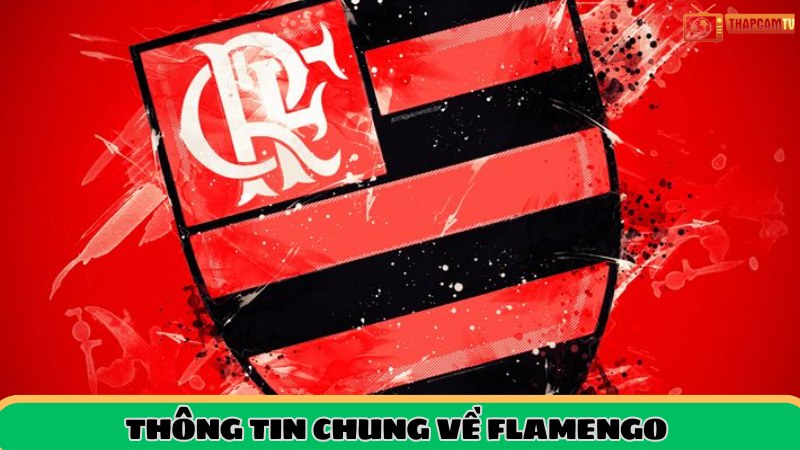 thong-tin-chung-ve-flamengo