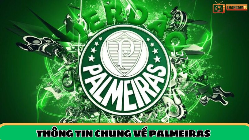 Thông tin chung về palmeiras
