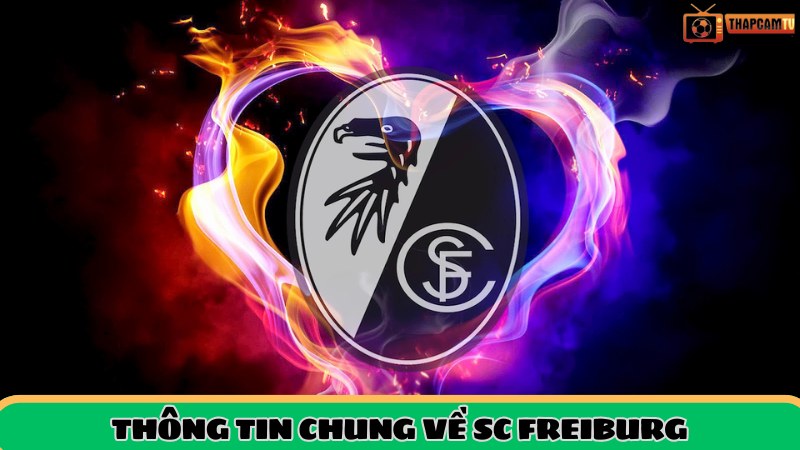 Thông tin tổng quan về CLB SC Freiburg