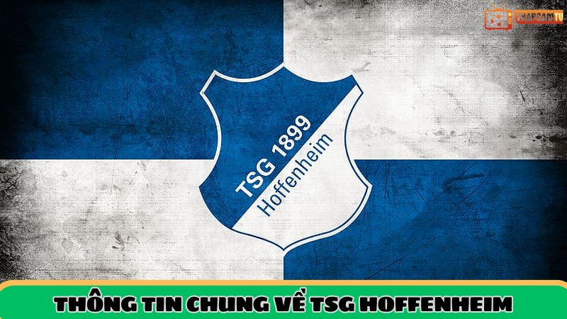 Thông tin tổng quan về TSG Hoffenheim
