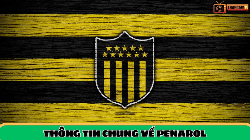 Thông tin tổng quan về CLB