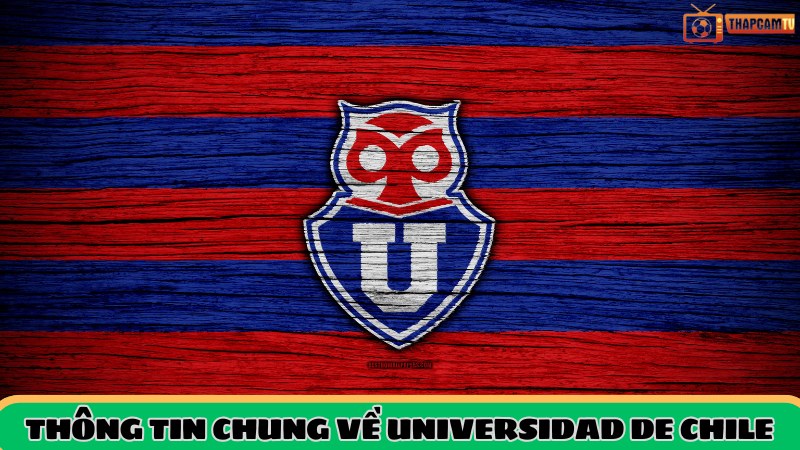 Thông tin tổng quan về CLB