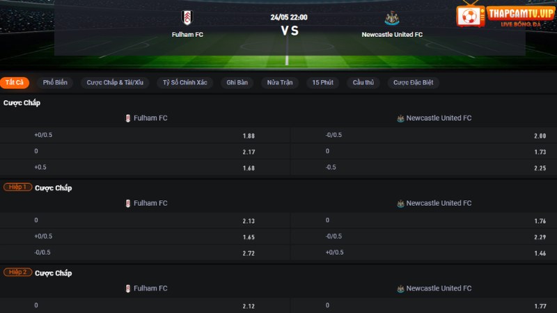 Fulham vs Newcastle